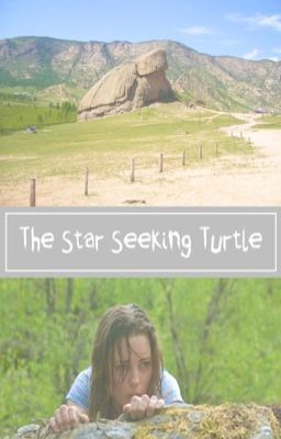 The Star Seeking Turtle
