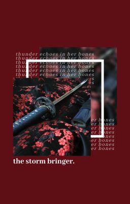 the storm bringer | ✓