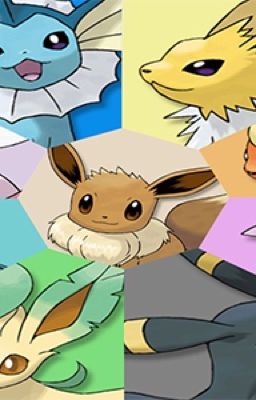 The story of an eevee