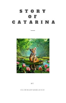 The Story of Catarina