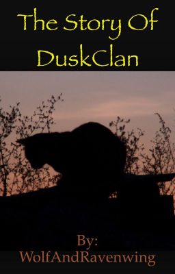 The Story of DuskClan