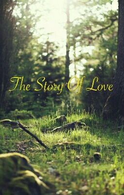 The Story Of Love 