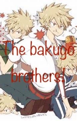 The story of the bakugo siblings 