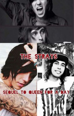 The Strays (sequel too Queen For A Day (adopted by Kellic))