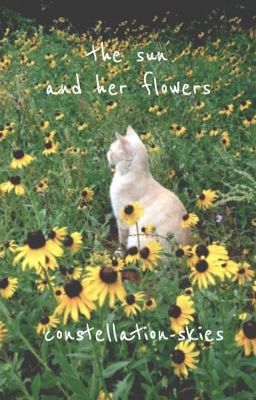 the sun and her flowers • a warrior cats short story