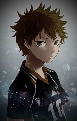 The Sun That Never Came - A Hinata Shoyou x Male Reader Story