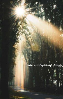 The Sunlight Of Dawn | °lck