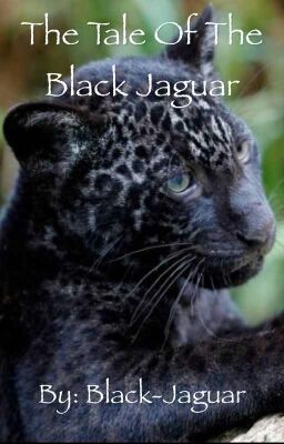 The Tale of Black Jaguar (Young Justice Fanfic)