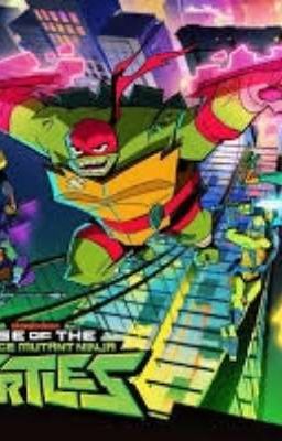 The Teenage Mayhams ( a Rottmnt fanfic )
