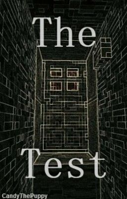 The Test [Canceled Series]