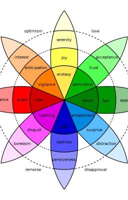 The Theory Of Emotion and Motivation