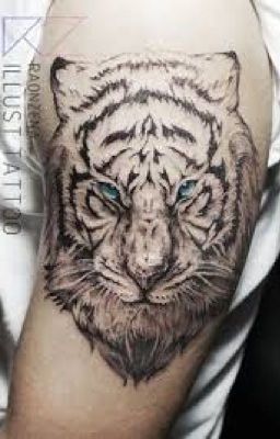 The tiger tattoo