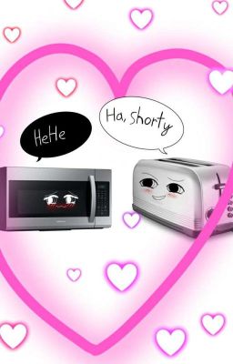 The Toaster And The Microwave