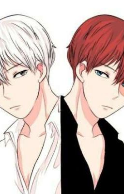 The Todoroki Twins ( Tododeku )