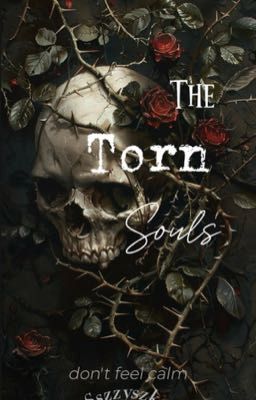 The Torn Souls 