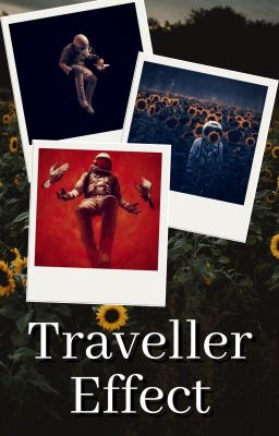 The Traveller Effect (LGBTQ+)