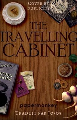 The Travelling Cabinet [Taco]