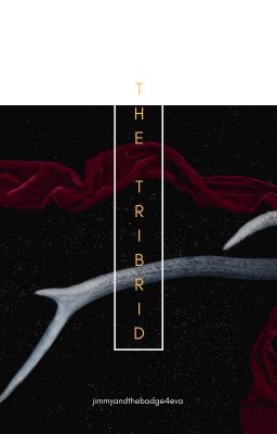 The Tribrid