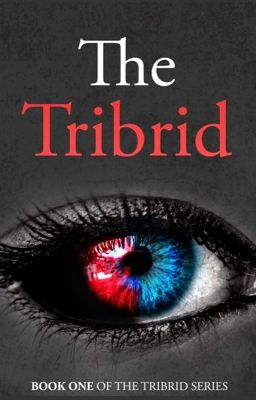 The Tribrid