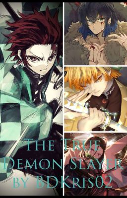 The True Demon Slayer (Kimetsu no Yaiba harem X Male Demon Slayer Reader)