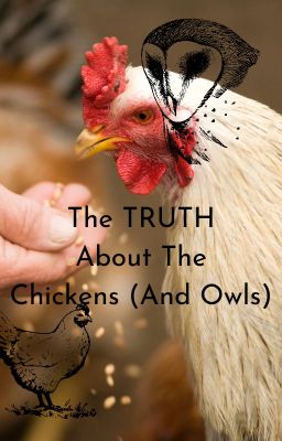 The TRUTH About The Chickens And Owls