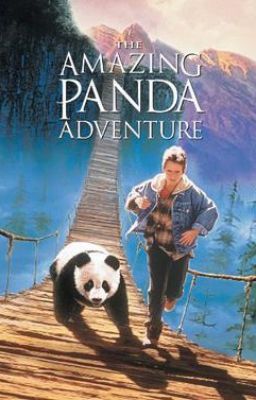 The Twins's Amazing Panda Adventure