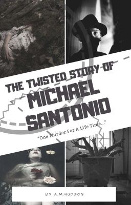 The Twisted Story Of Michael Santonio 