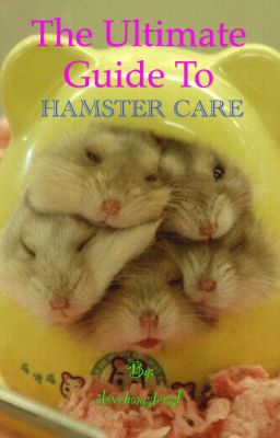 The Ultimate Guide to Hamster Care