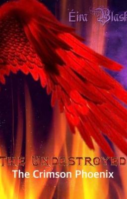 The Undestroyed  | Book 5 | The Phoenix arc