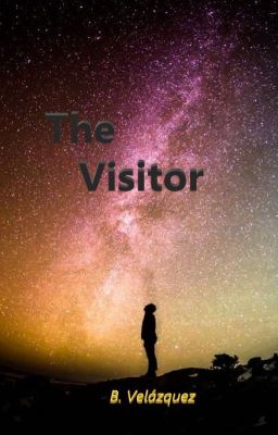 The Visitor