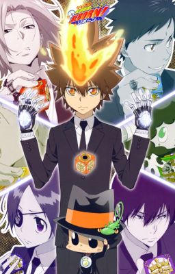 The Vongola Decimo's Honorary Visits! (Katekyo Hitman Reborn Fanfiction)