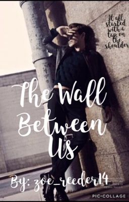 The Wall Between Us (BOOK #1)