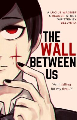 The Wall Between Us (Lucius Wagner x Reader)