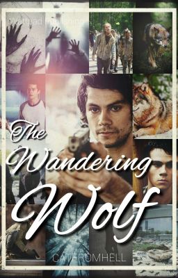 The Wandering Wolf [Teenwolf/The Walking Dead Crossover Fanfic]