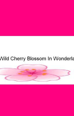 The Wild Cherry Blossom In Wonderland