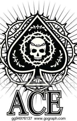 The Wildcard Of Terra