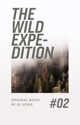 The Wilde Expedition