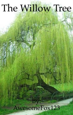 The Willow Tree