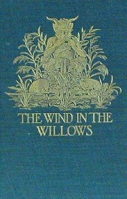 The Wind in the Willows (Completed)