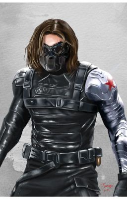 The Winter Soldier