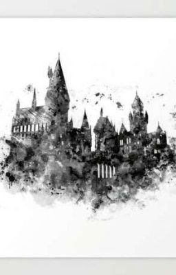 The Wizarding World