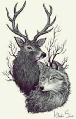 The Wolf And The Deer