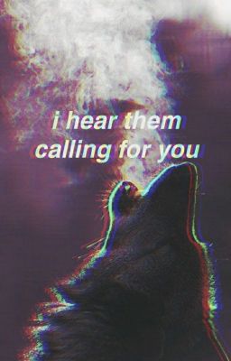 The Wolves