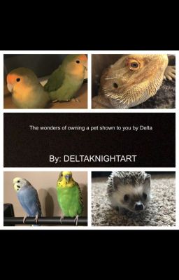 The Wonders of Owning a Pet as Shown to you by Delta!