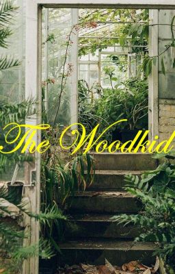 The Woodkid