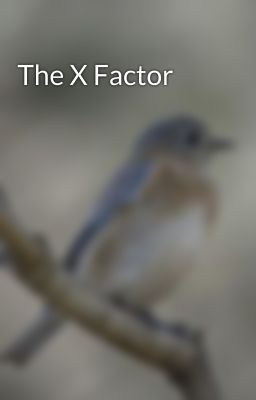 The X Factor