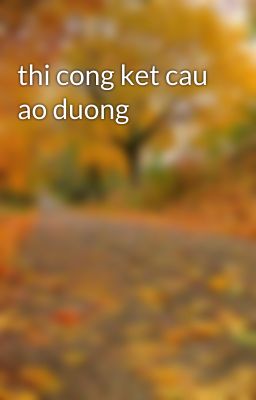 thi cong ket cau ao duong