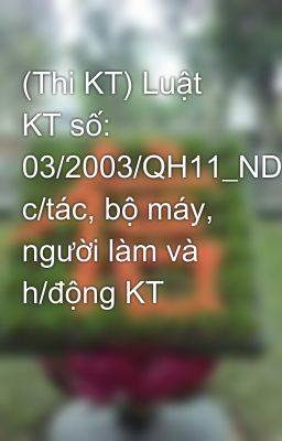 (Thi KT) Luật KT số: 03/2003/QH11_ND c/tác, bộ máy, người làm và h/động KT