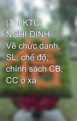 (Thi KTC) NGHỊ ĐỊNH  Về chức danh, SL, chế độ,  chính sách CB, CC ở xã