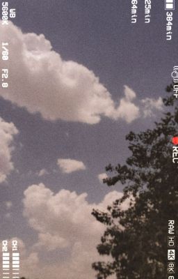 |thiều quang yến nhật| nối dây tơ...